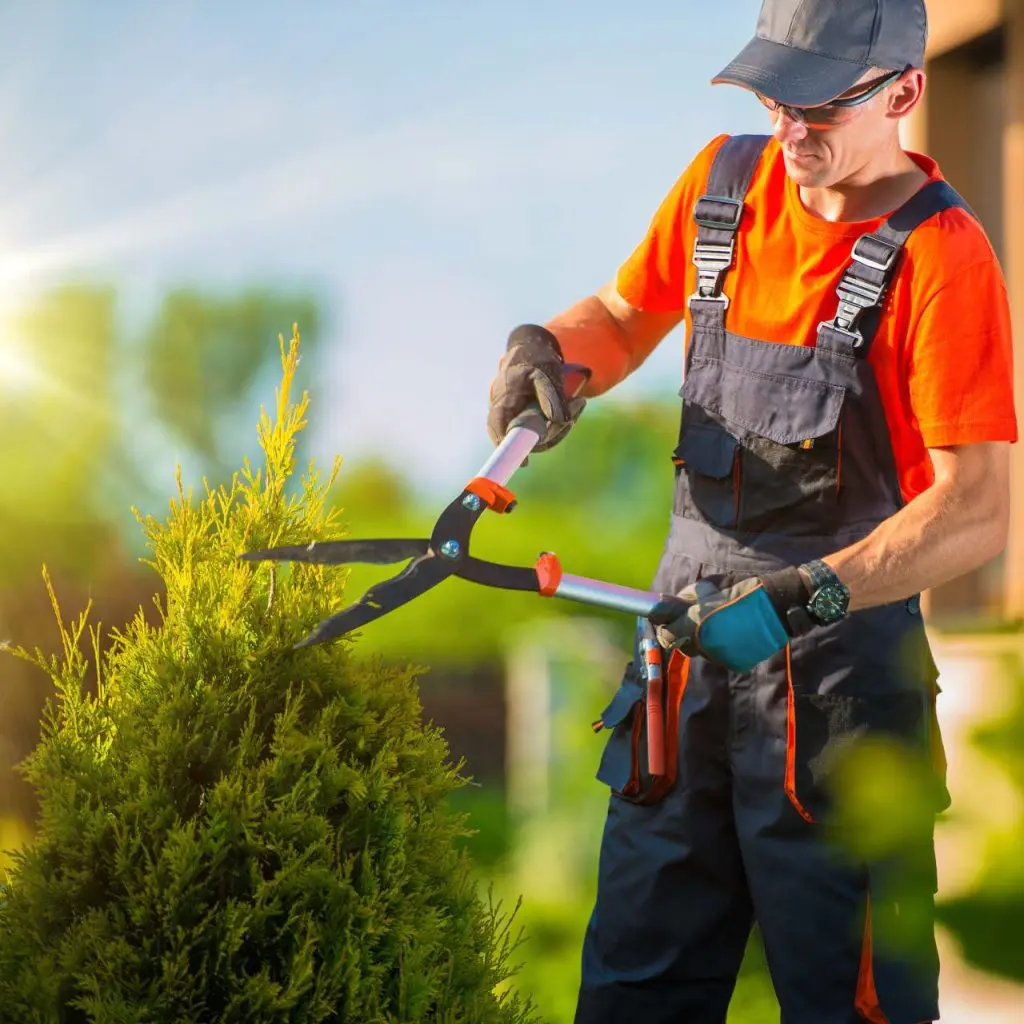 Création site internet pour jardinier-paysagiste